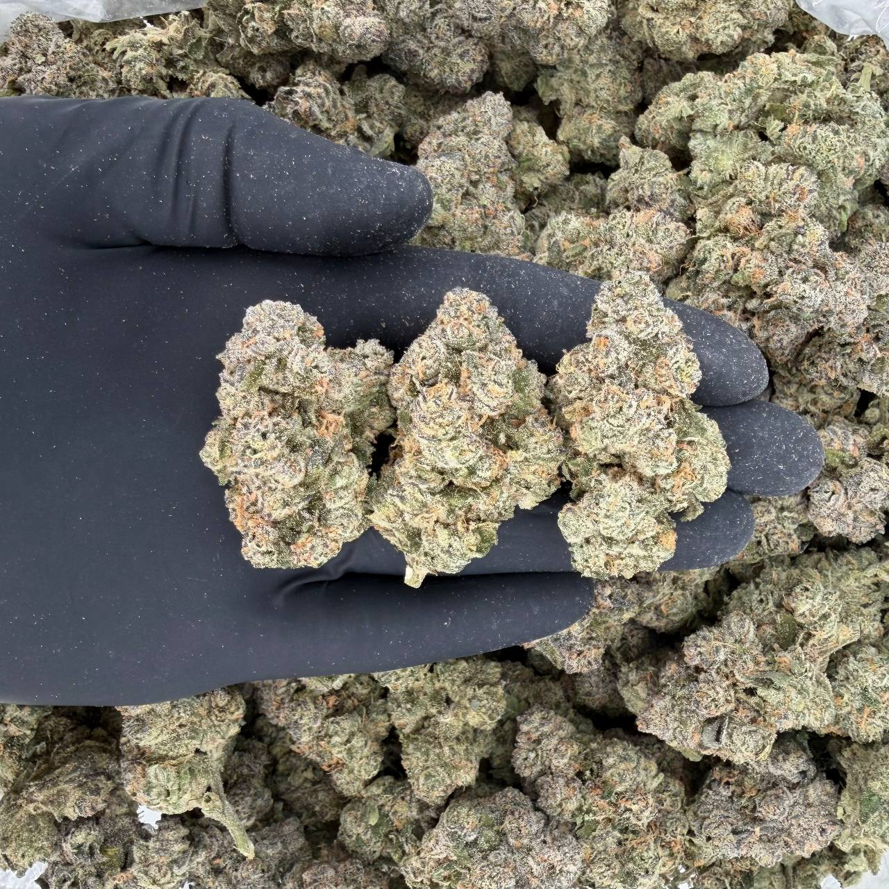 Umami Butter (ZaZa Tier)